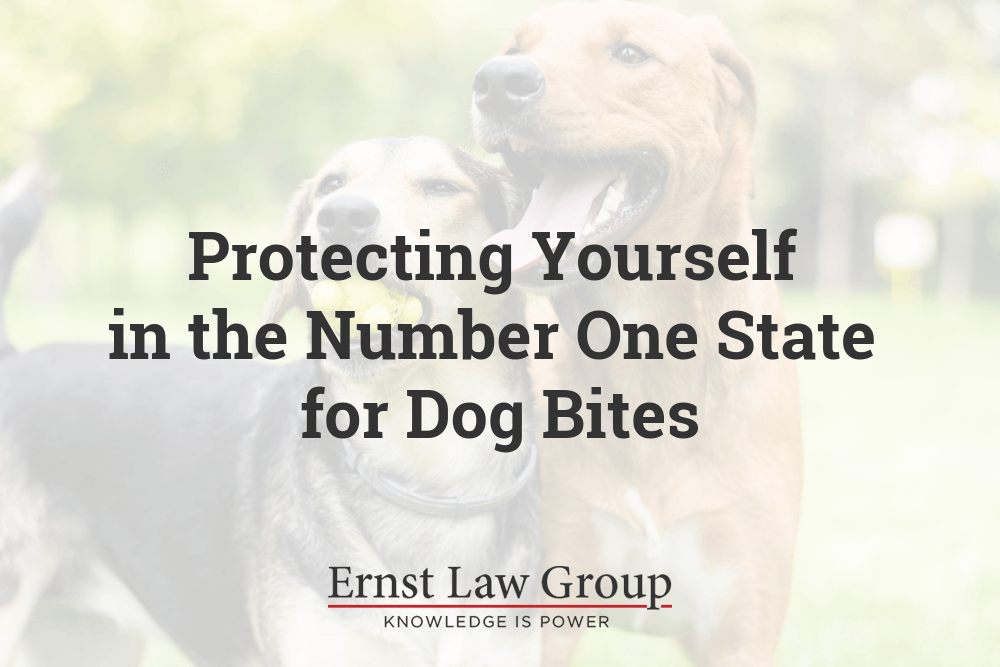 Protecting-Yourself-in-the-Number-One-State-for-Dog-Bites