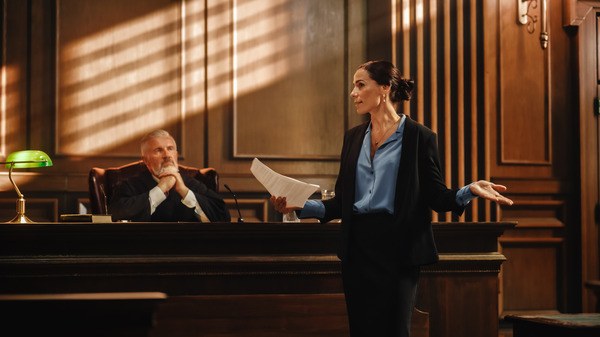 what is a trial lawyer